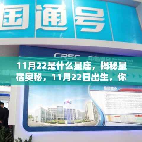 揭秘星宿奥秘，揭秘11月22日出生者的星座运势与性格特征