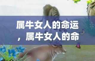 属牛女人的命运，个性特色与人生轨迹的交织展现