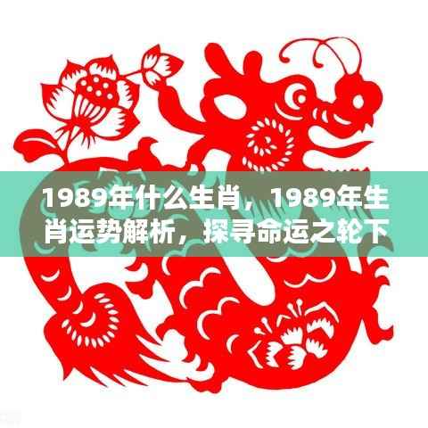 打马虎眼 第6页