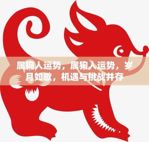 属狗人的岁月如歌，机遇与挑战并存的运势分析