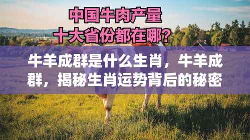 揭秘生肖运势背后的秘密，牛羊成群生肖运势解析