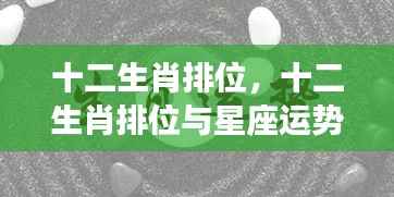 十二生肖排位与星座运势深度解析
