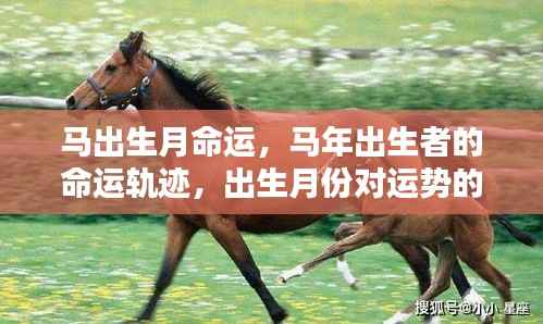 下里巴人 第6页