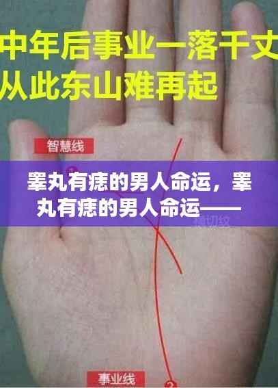 睾丸痣相与男性命运，痣相与人生轨迹的微妙联系揭秘