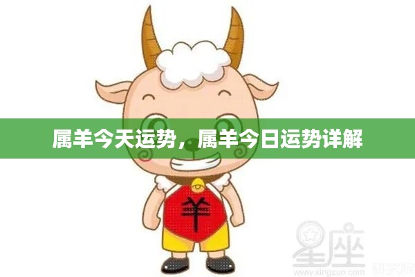 属羊今日运势详解，全面解析属羊人的今日运势与运势分析