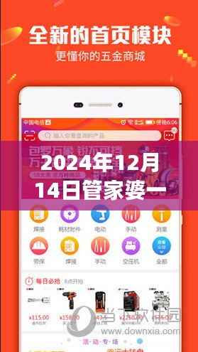 2024年12月14日管家婆一码一肖100准：新时代的代码之谜