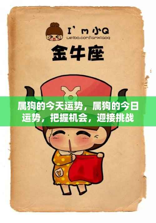 属狗的今日运势展望，把握机遇，迎接挑战