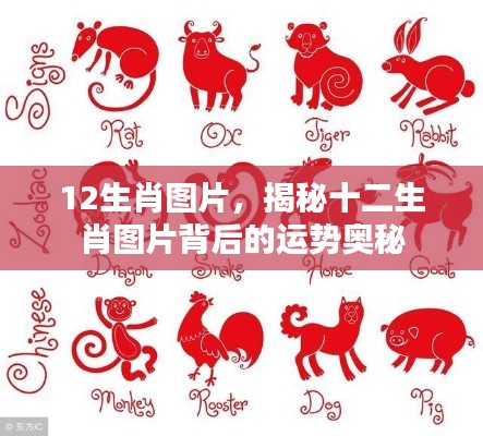 揭秘十二生肖图片运势奥秘，洞悉生肖背后的幸运符号