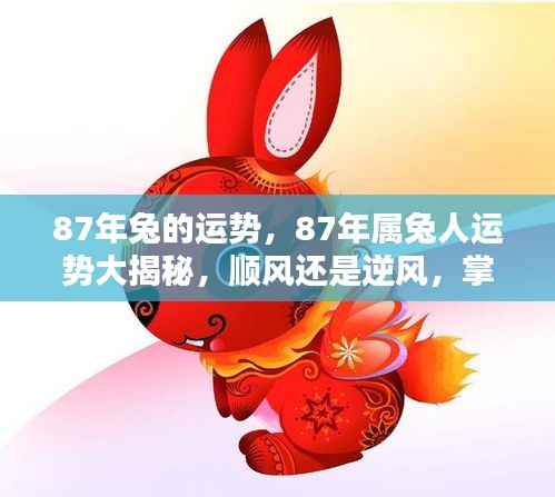揭秘87年属兔人的运势走向，顺风还是逆风？