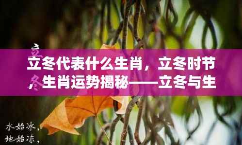 立冬与生肖，揭秘生肖运势与奇妙关联的奥秘