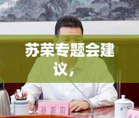 苏荣专题会建议， 