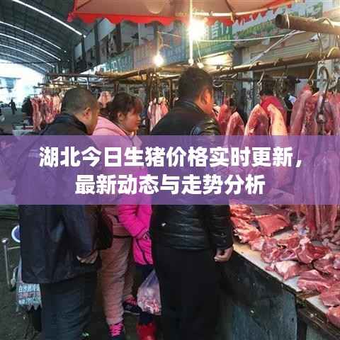 虫言鸟迹 第4页