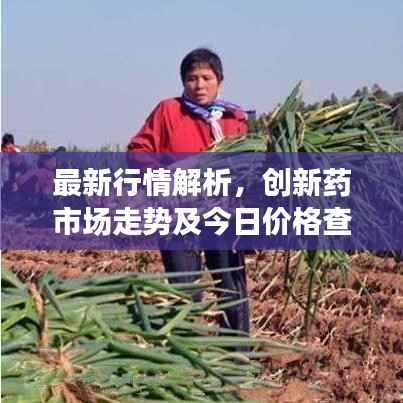 最新行情解析，创新药市场走势及今日价格查询