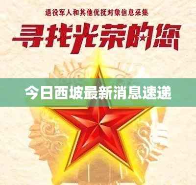 今日西坡最新消息速递