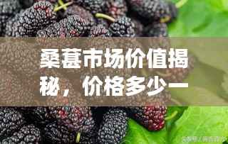 桑葚市场价值揭秘，价格多少一斤？