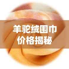 羊驼绒围巾价格揭秘，优质价值的选择