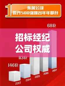 招标经纪公司权威排名揭晓，行业领军者的成功秘诀！